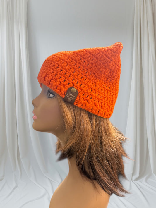 Kitty Cat Ear Beanie