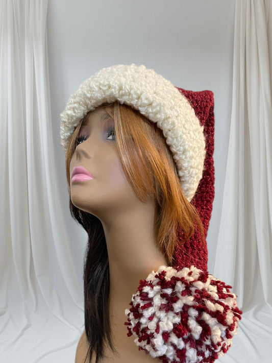 Santa Stocking Beanie